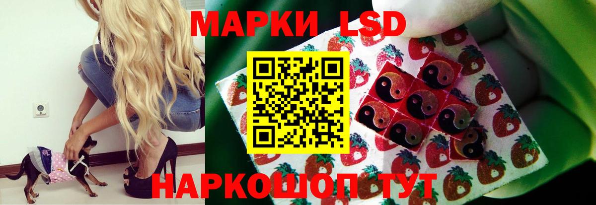 Солнечногорск  ЛСД экстази ecstasy  Вход с VPN  Лсд 25 экстази кислота 